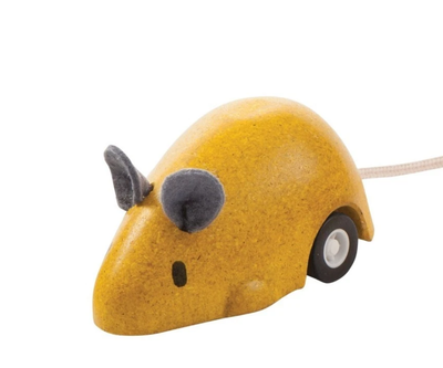 Mouse