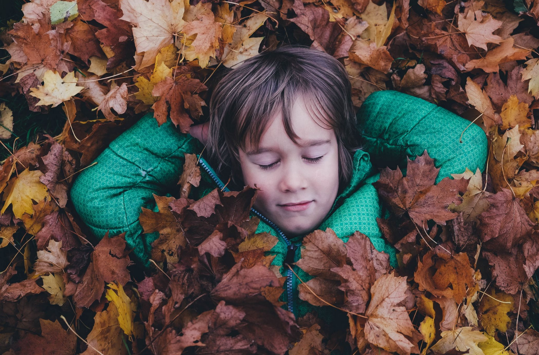 Top blankets for fall by Poofi