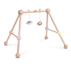 Baby Play Gym