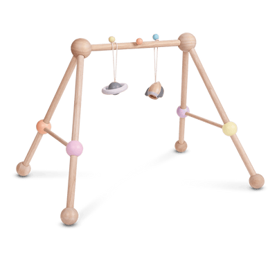 Baby Play Gym