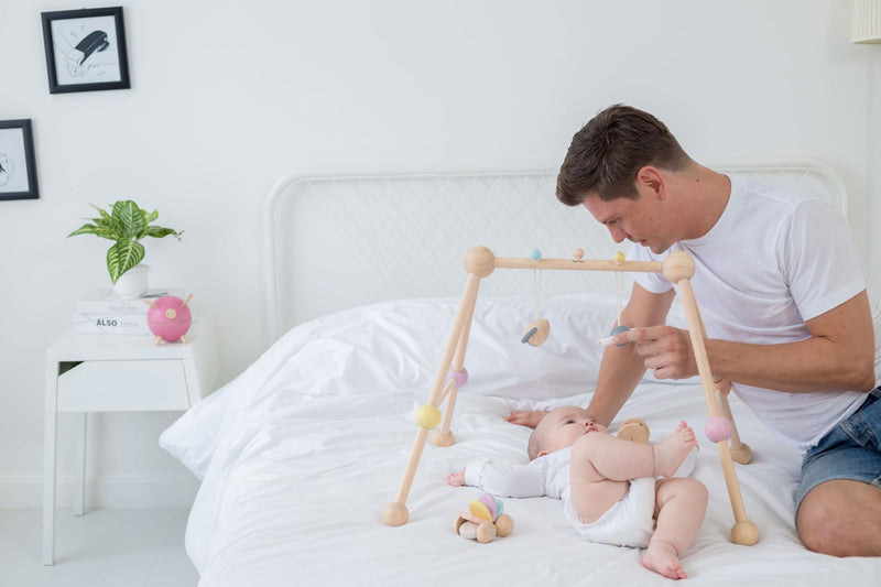 Baby Play Gym