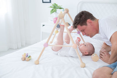 Baby Play Gym