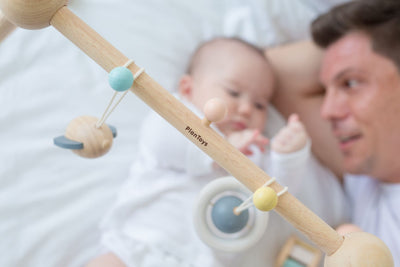 Baby Play Gym